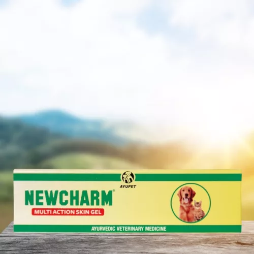 Newcharm herbal wound-healing gel 25 g