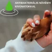 Newcharm herbal wound-healing gel 25 g