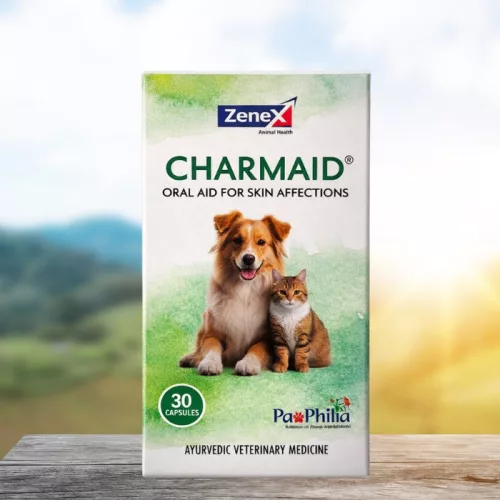 Charmaid herbal capsules against skin allergies for dogs 30 pcs