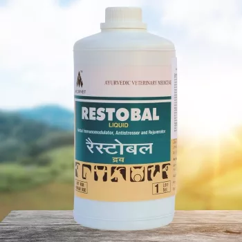   Restobal herbal immune boosting, anti-stress oral liquid 1 litre