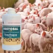 Restobal stressz elleni, immunerősítő itatófolyadék 1 liter