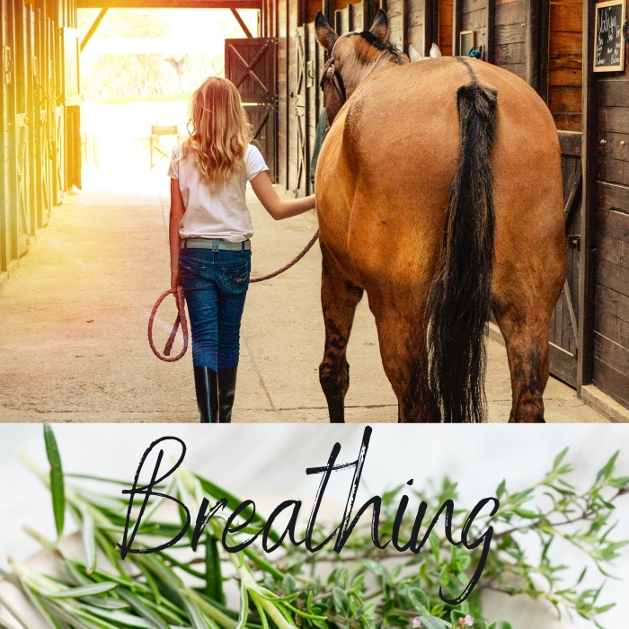 Herbal support for respiratory problems in horses