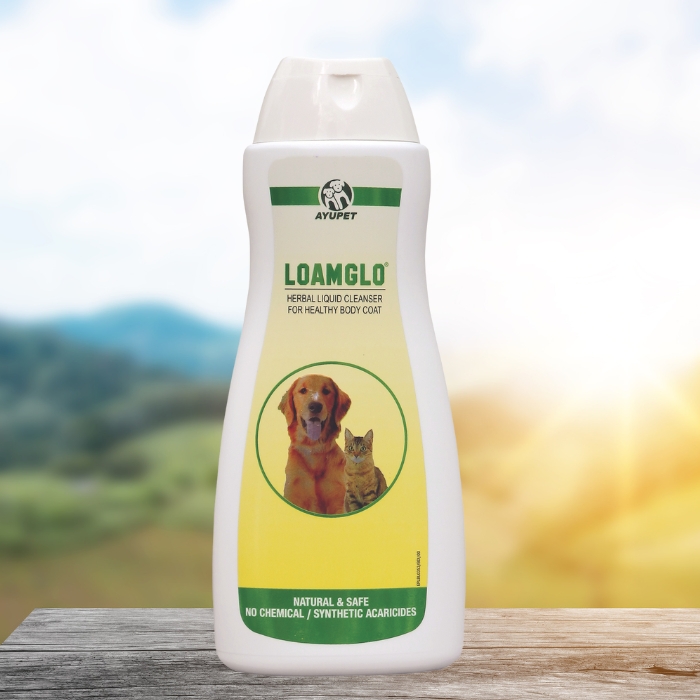 Loamglo Dog Shampoo Is Being Discontinued